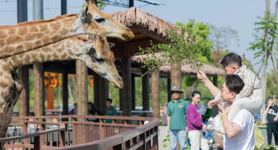 湘渝文旅新篇章：汉寿文旅赴重庆推介，共绘湘渝文旅新画卷