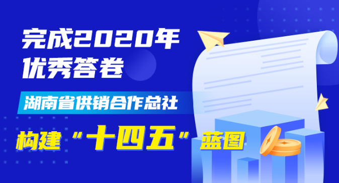 图解| 湖南省供销合作总社构建“十四五”蓝图